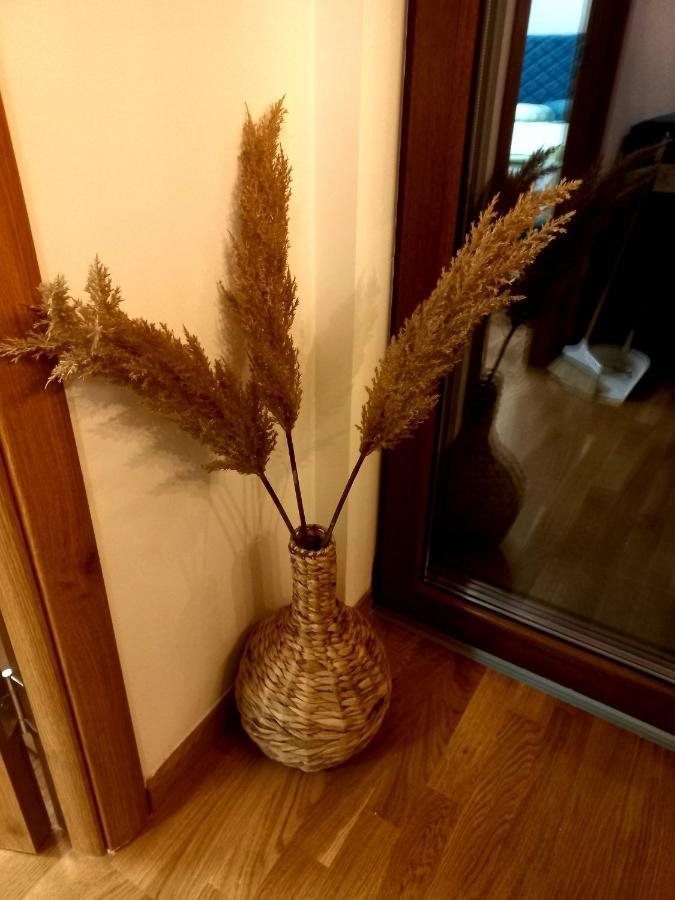 Zlatibor Apartman Luxury & Spa Dijana Extérieur photo