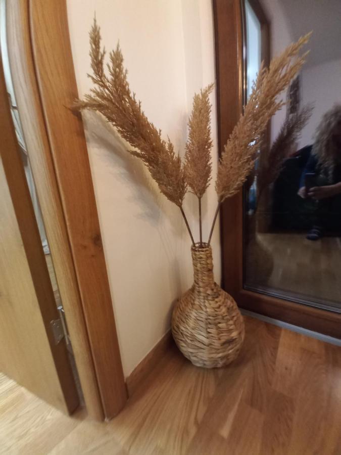 Zlatibor Apartman Luxury & Spa Dijana Extérieur photo